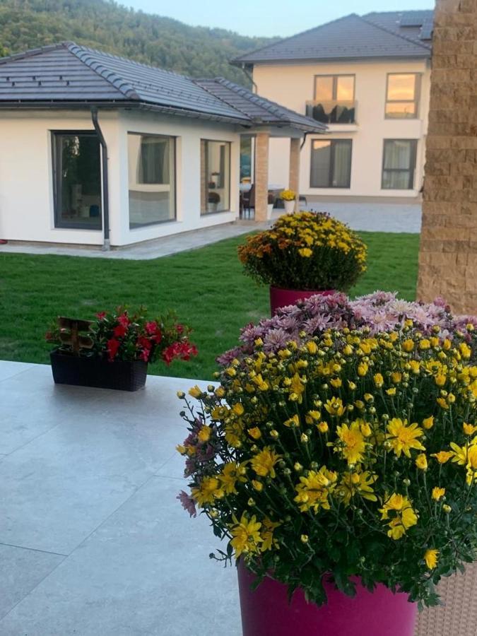 Vila Diamond Lux&Spa Sovata Εξωτερικό φωτογραφία