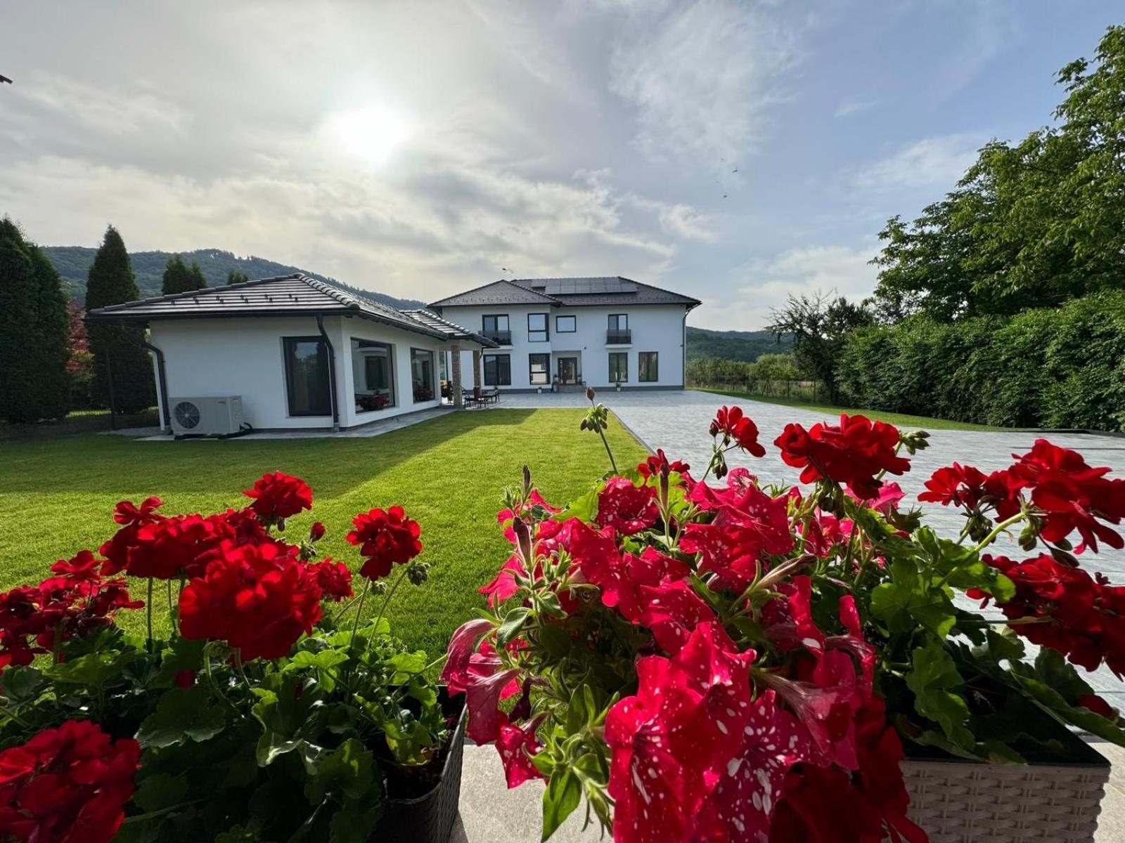 Vila Diamond Lux&Spa Sovata Εξωτερικό φωτογραφία