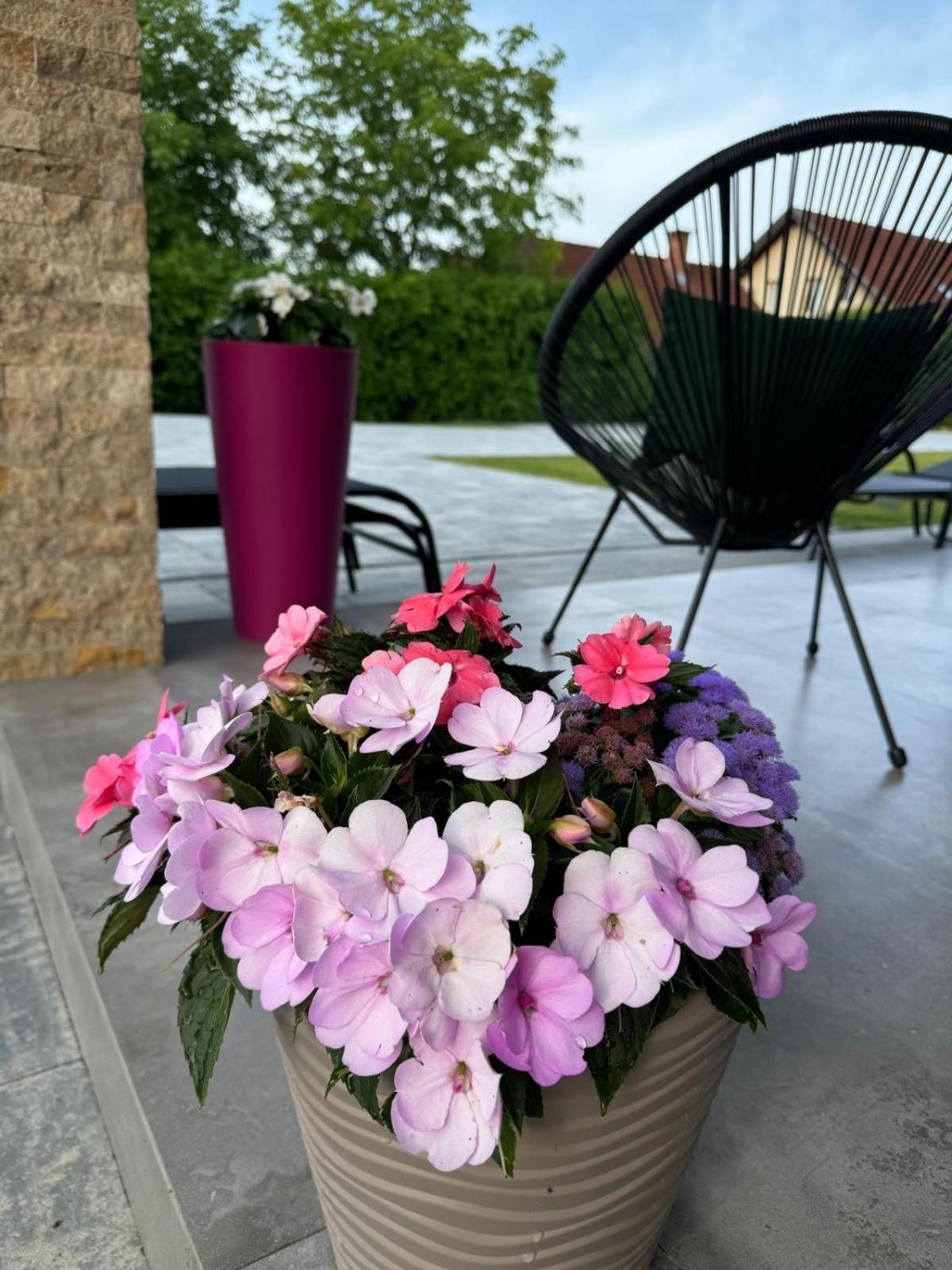 Vila Diamond Lux&Spa Sovata Εξωτερικό φωτογραφία